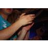 IMG 7983